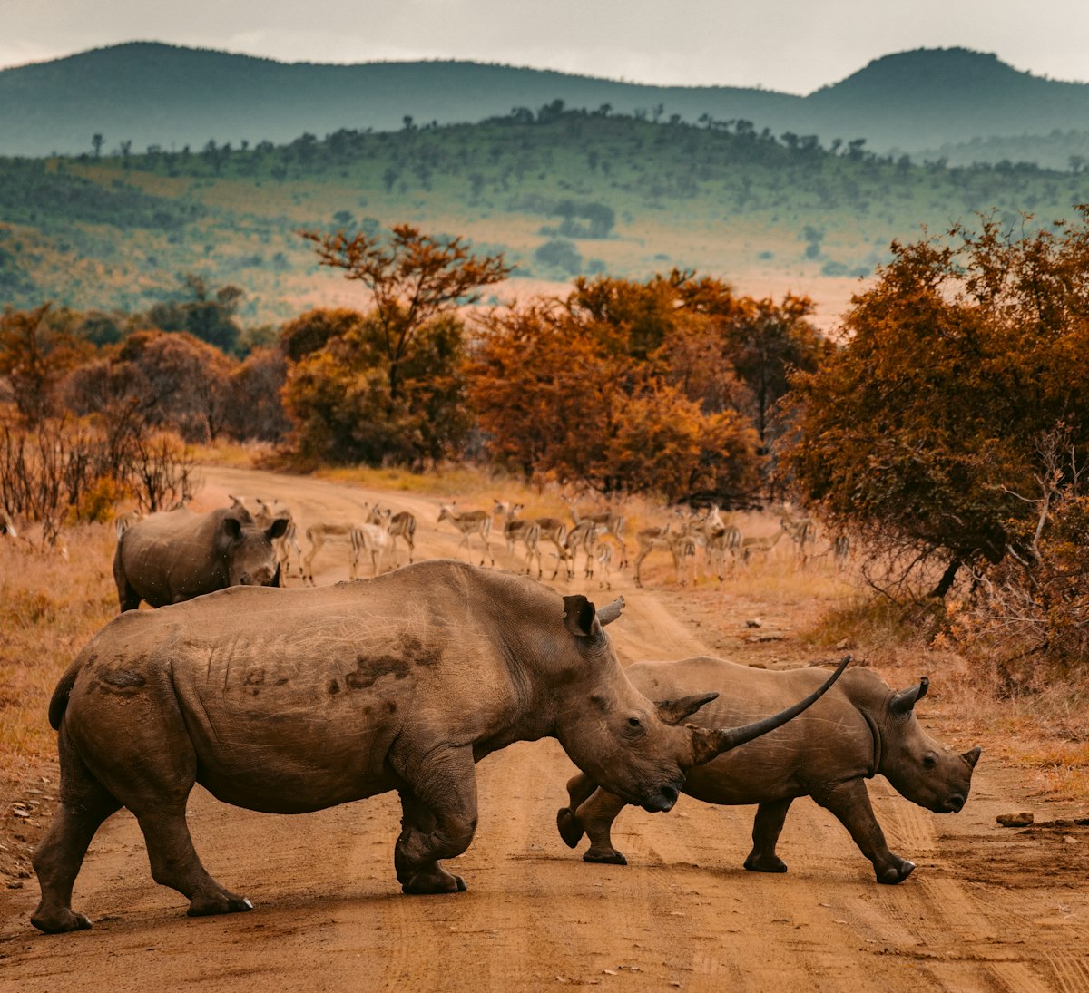 Kruger, África do Sul